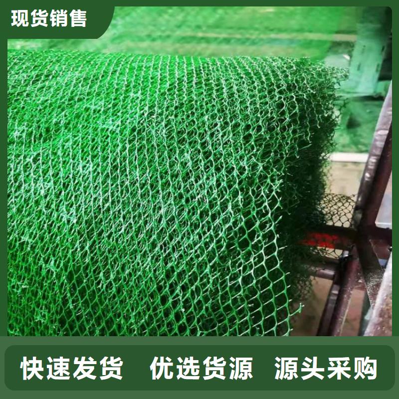 三维固土网垫EM2三维植被网高质量高信誉