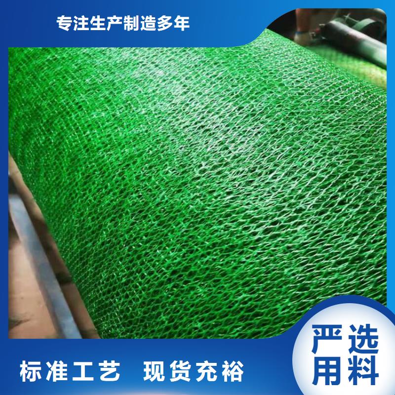 三维土工网垫-EM4三维护坡植草网垫专业生产团队