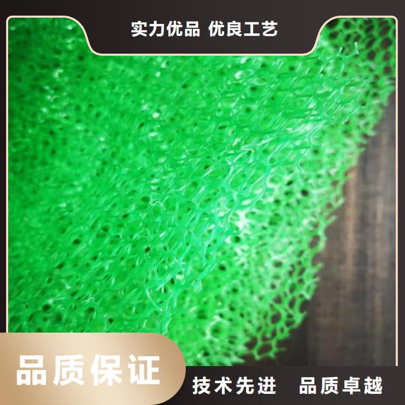 三维固土网垫三维固土网垫支持批发零售