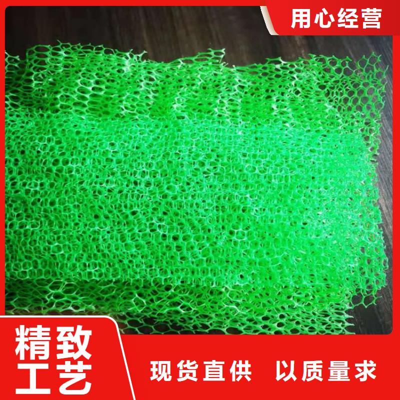 桂林加筋塑料三维土工网垫
