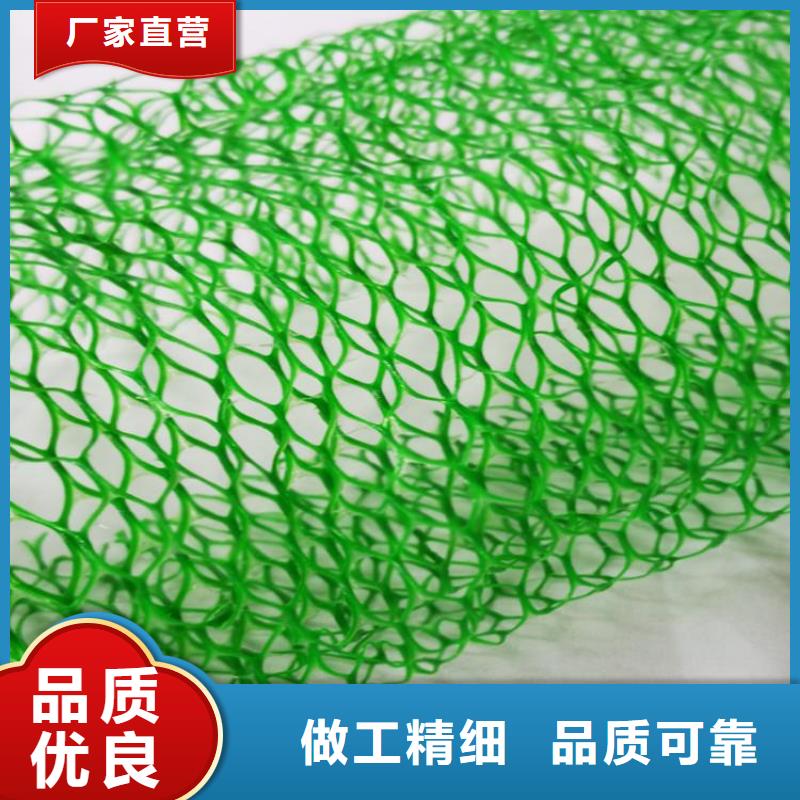 大连三维植被网-EM5三维加筋网垫