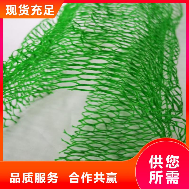 青海三维土工网垫-EM5三维护坡植草网垫