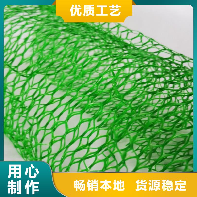 台州EM3三维固土网垫-边坡三维土工网垫