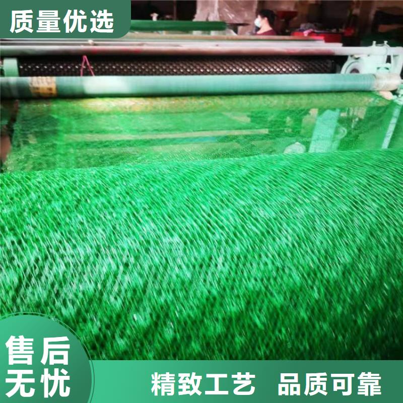 西安EM3三维固土网垫-绿色三维植被网