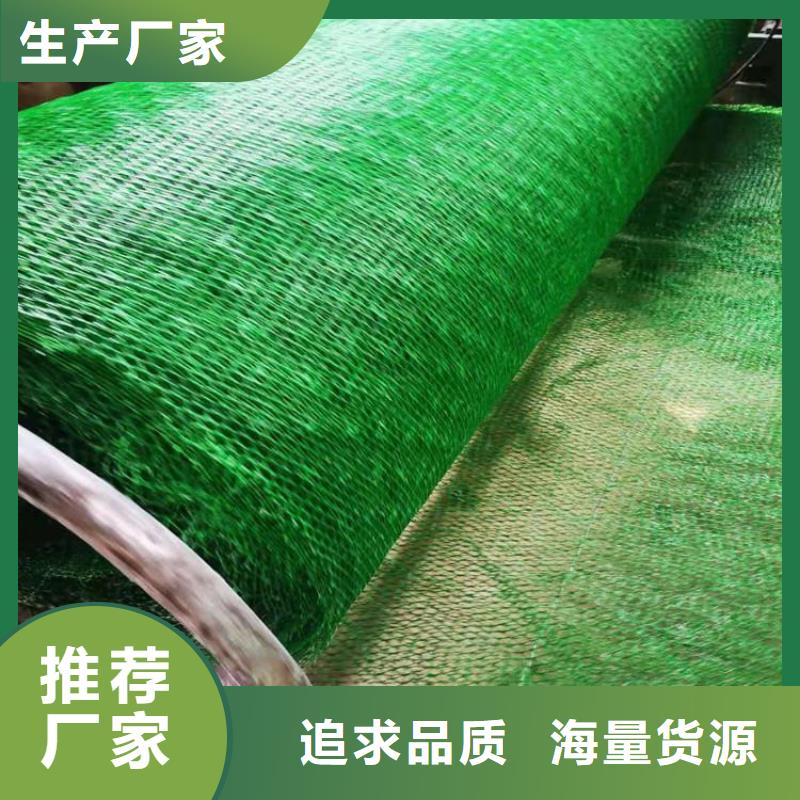 三维土工网垫-三维护坡植草网垫附近经销商