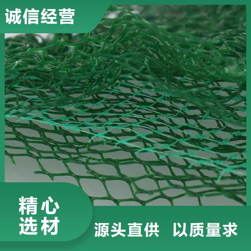 三维植被网-EM4三维固土网垫追求细节品质