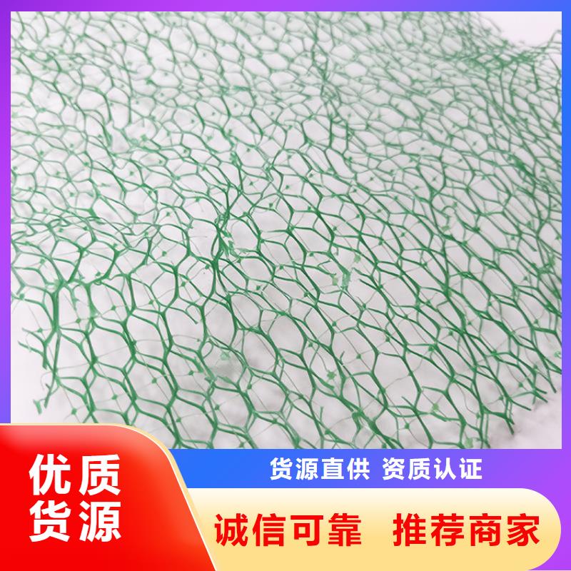台湾三维植被网硬式透水管规格齐全实力厂家