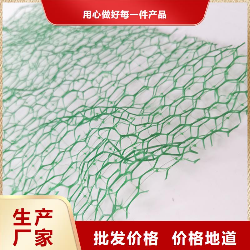 贵州三维植被网塑料草皮