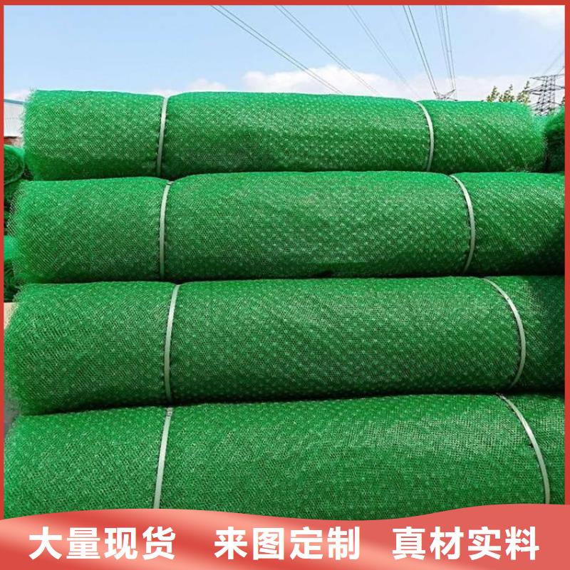 银川EM4三维护坡植草网垫-护坡三维土工网垫