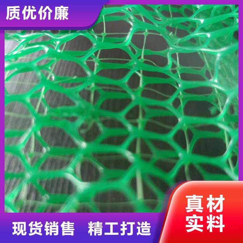 三维加筋网垫-三维植被网匠心品质