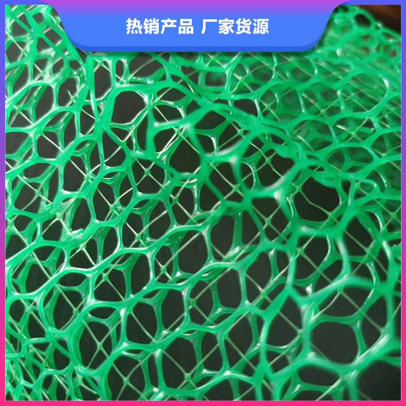 三维植被网-EM3三维固土网垫真实拍摄品质可靠