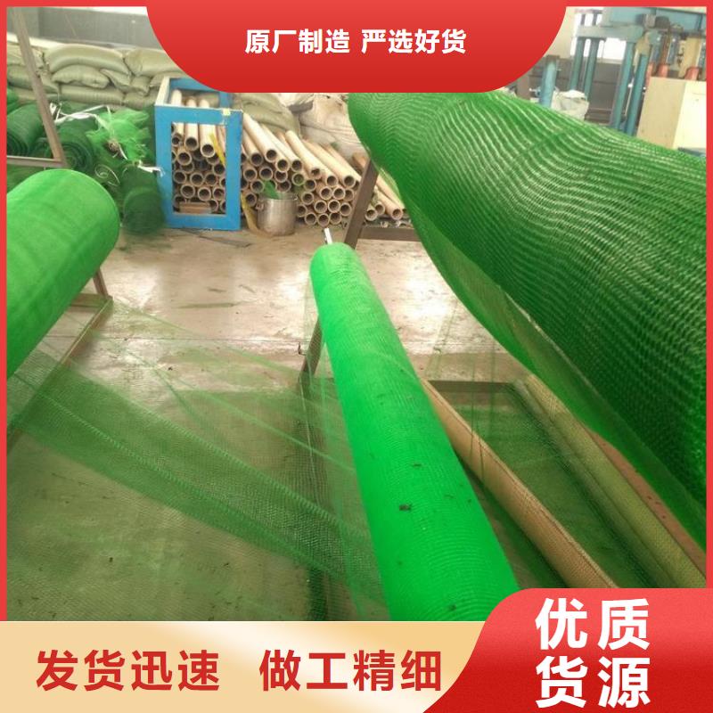 三维固土网垫EM5三维护坡植草网垫专业生产设备