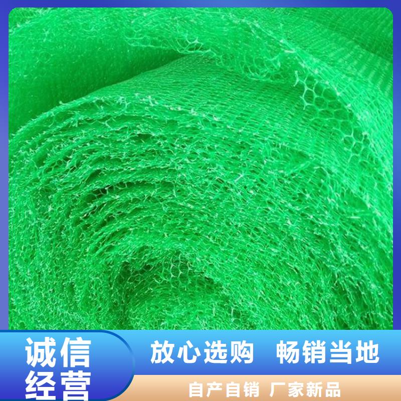 三维固土网垫三维加筋网垫厂家质量过硬