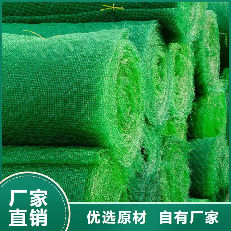 锦州三维固土网垫三维植被网