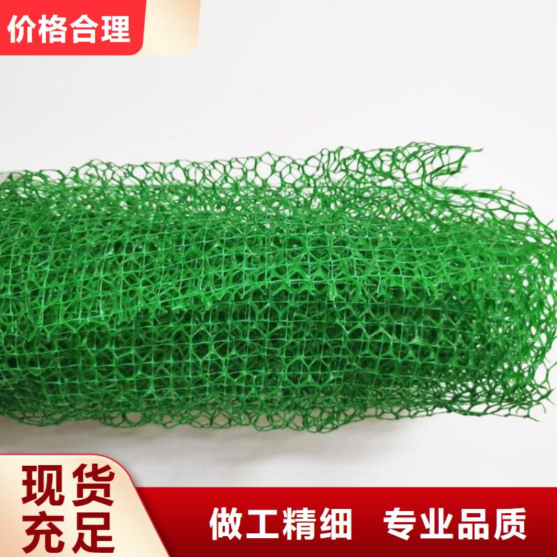 吉安三维土工网垫-加筋三维植被网