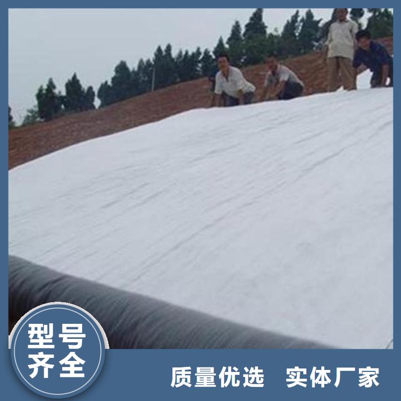 上海膨润土防水毯HDPE土工膜定制零售批发
