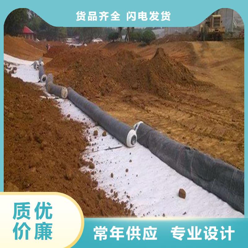 【膨润土防水毯】HDPE土工膜快捷的物流配送同城生产厂家