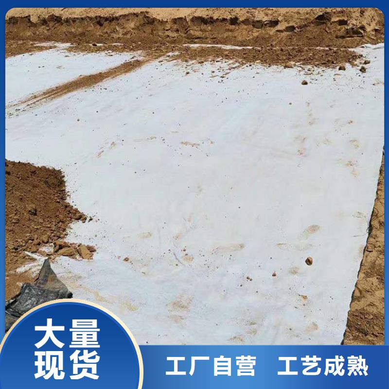 上海膨润土防水毯塑料盲沟本地厂家值得信赖
