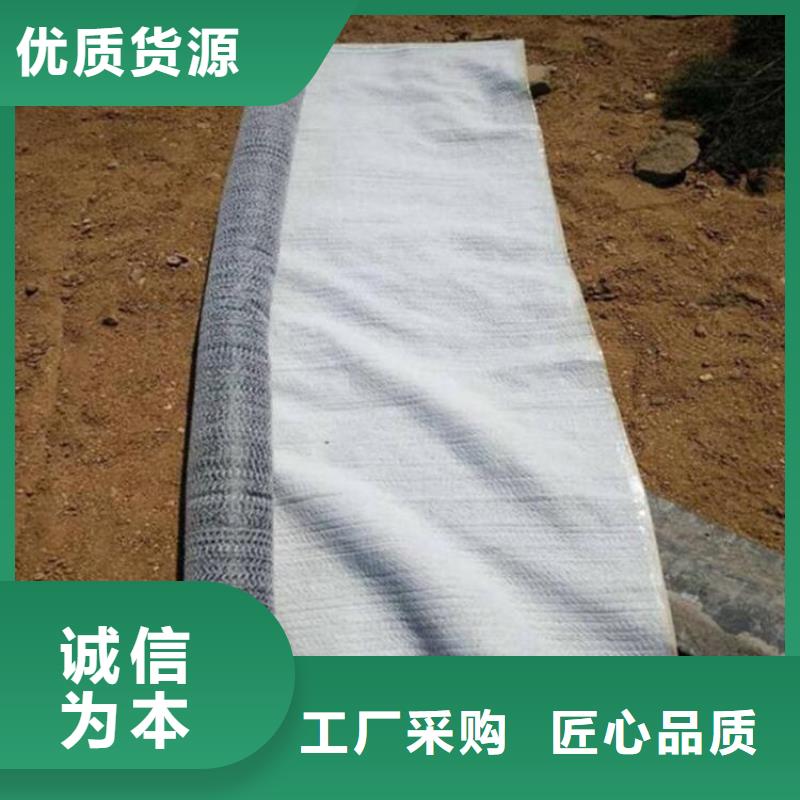 膨润土防水毯双向塑料土工格栅现货供应厂家定制