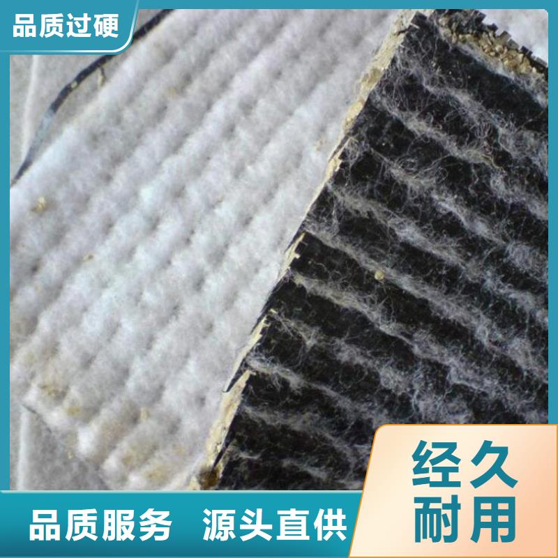 天津膨润土防水毯 土工布实力商家推荐