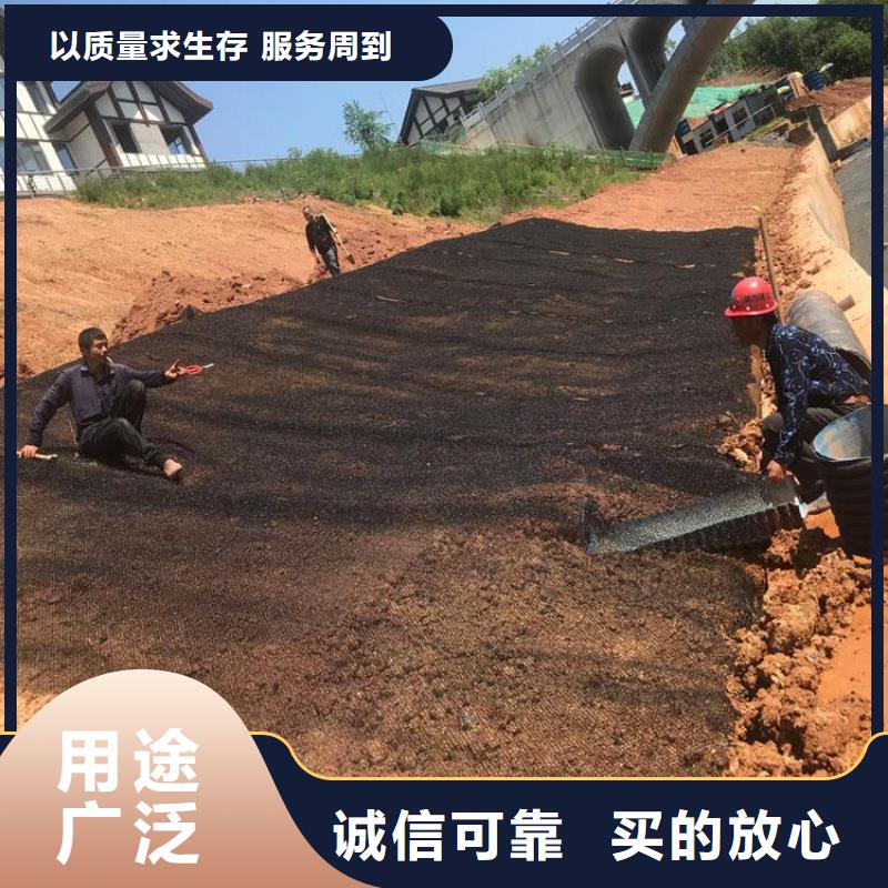 安徽水土保护毯HDPE土工膜厂家精选