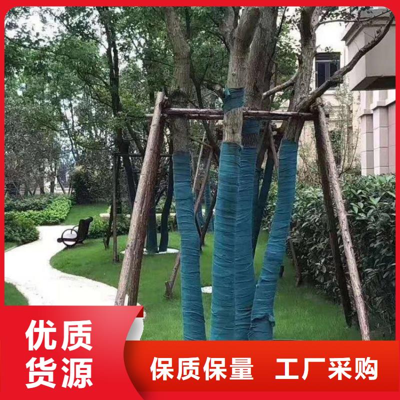 广东裹树布,土工格栅多种优势放心选择