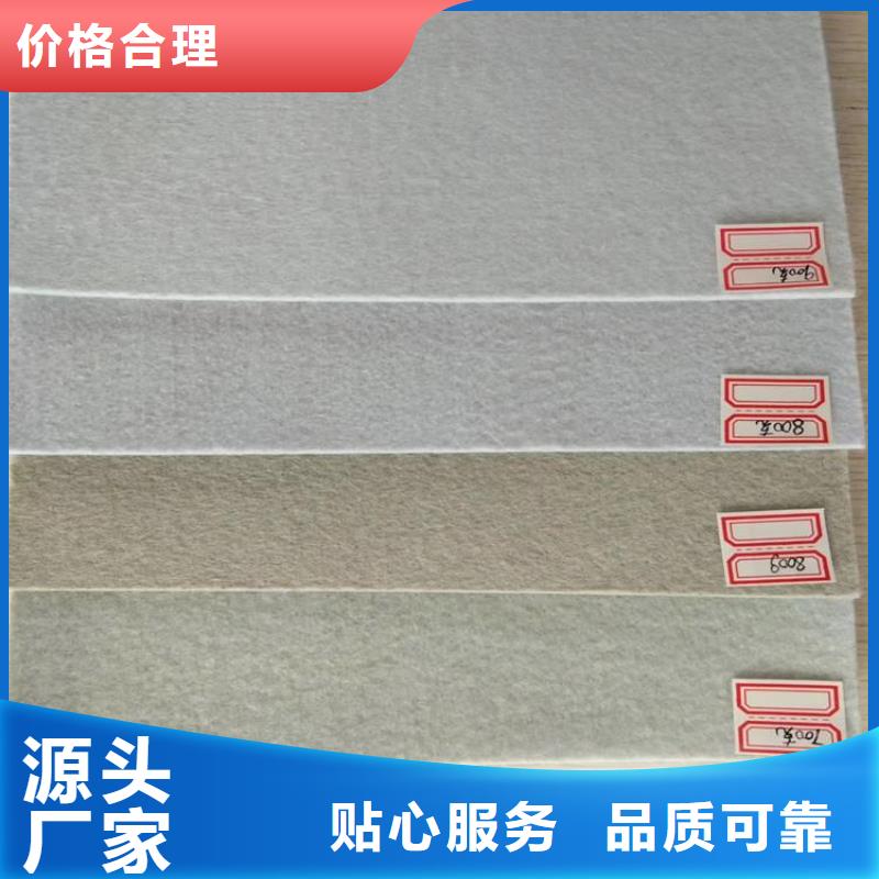 防渗土工布-聚丙烯土工布-排水板土工布货源稳定