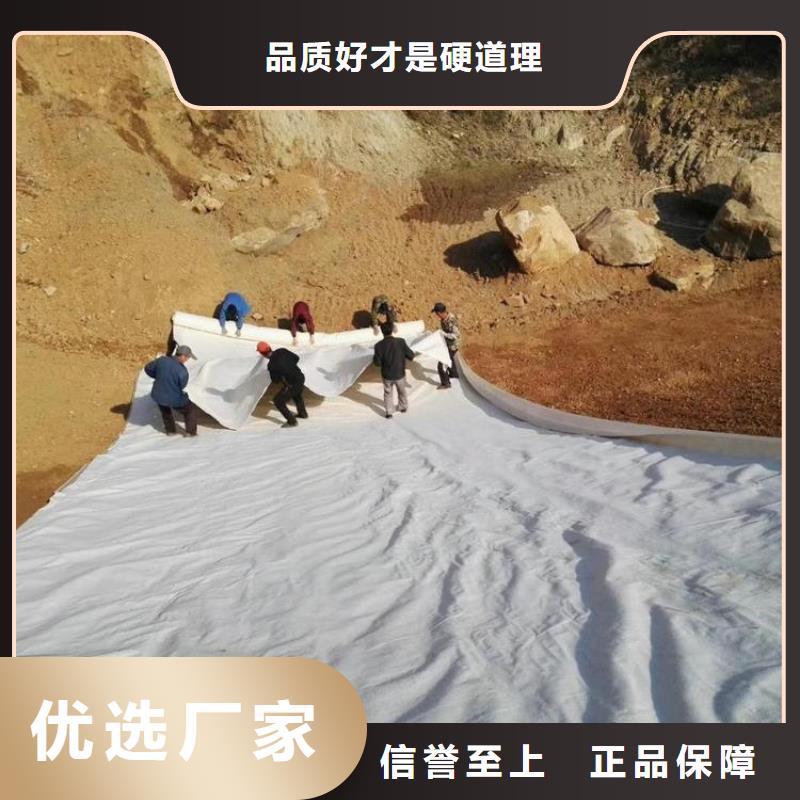 土工布膨润土防水毯加工定制本地生产商