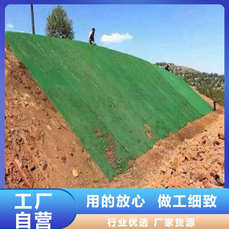 加筋绿化三维加筋土工网垫量大更优惠