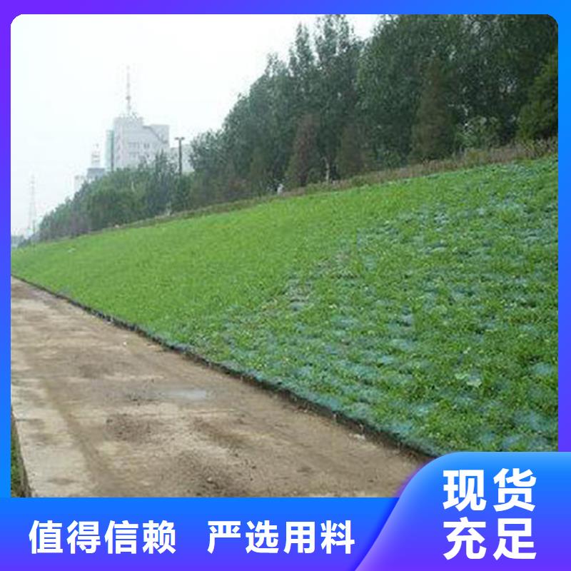 郑州三维护坡加筋网垫产品新闻-已更新