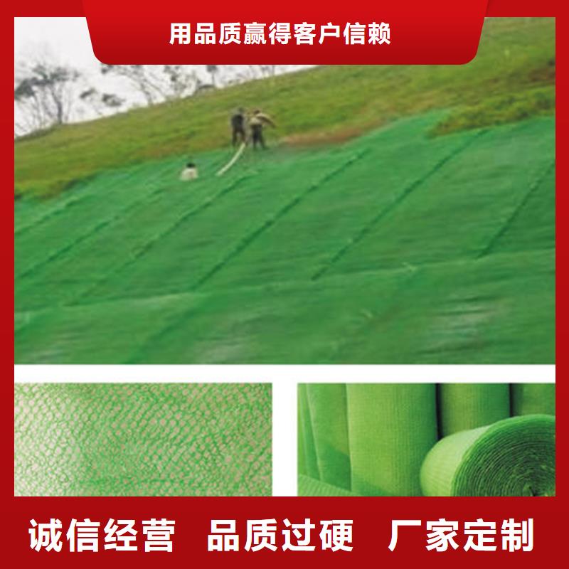 三维护坡植被网垫#固土EM4本地生产商
