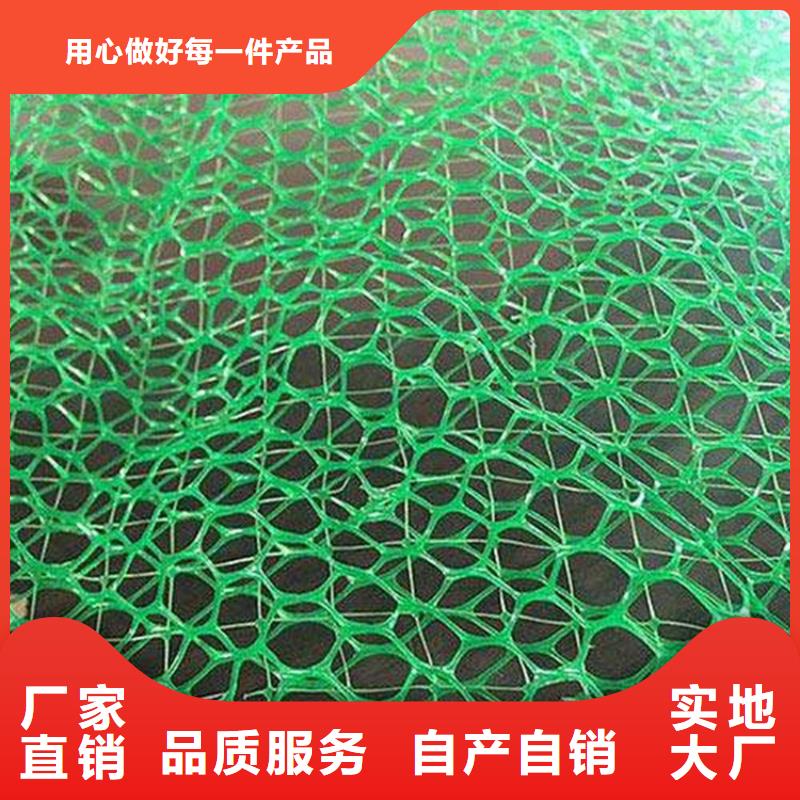 三维固土网垫-加筋三维土工网垫解决方案定制速度快工期短