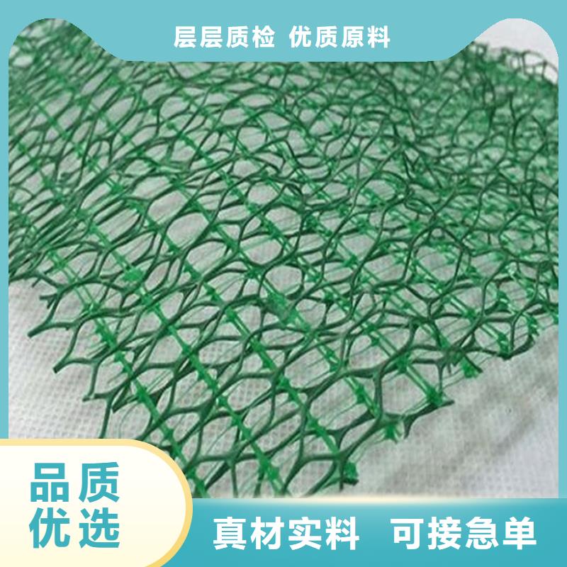 绍兴护坡加筋网垫-EM3三维植被网