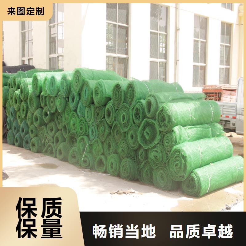 三维固土网垫-三维植被网用心做好每一件产品