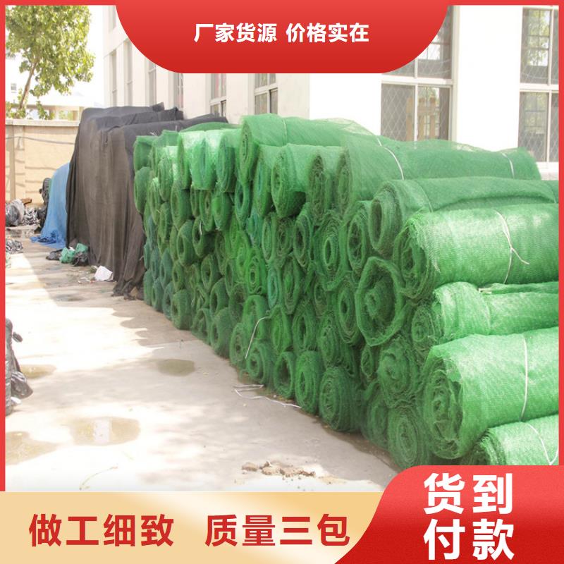 三维植草护坡网垫-三维土工网多少钱一米优选厂家