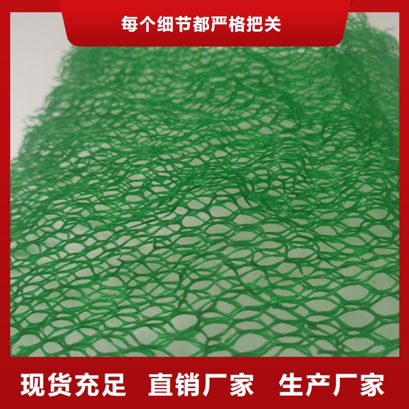 三维土工网垫-绿色三维植被网型号全当地经销商