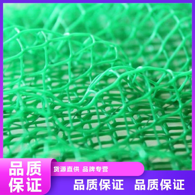 护坡加筋网垫-三维护坡网垫源厂定制