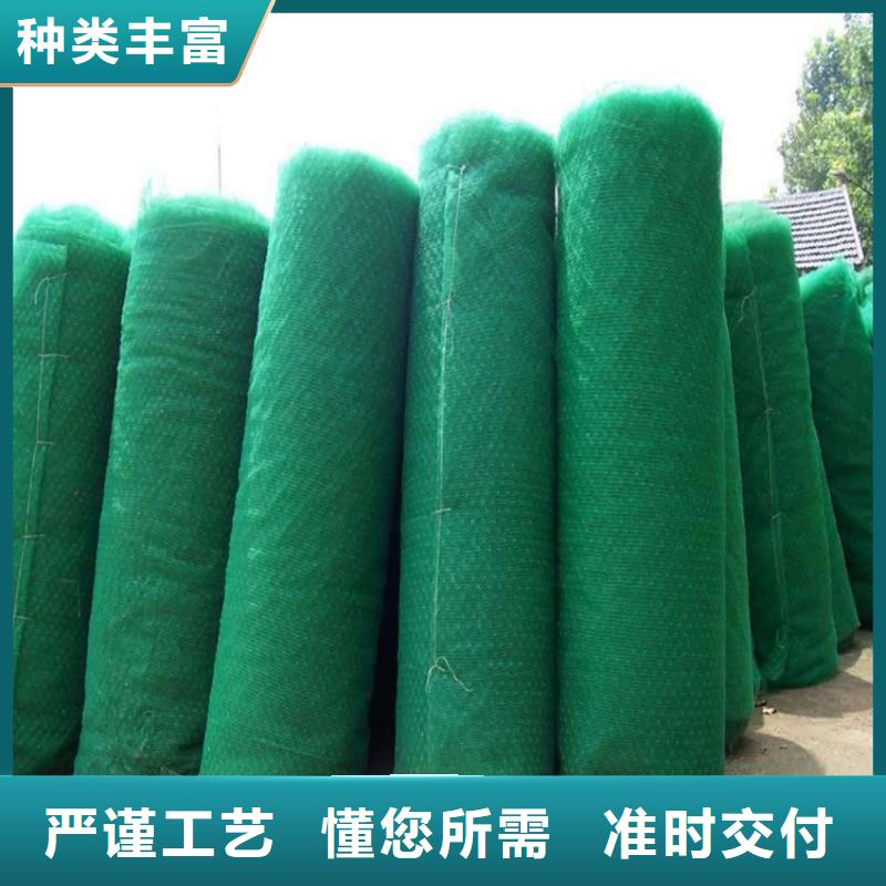 三维植草护坡网垫-边坡三维植被网公司-厂家供应产地直供