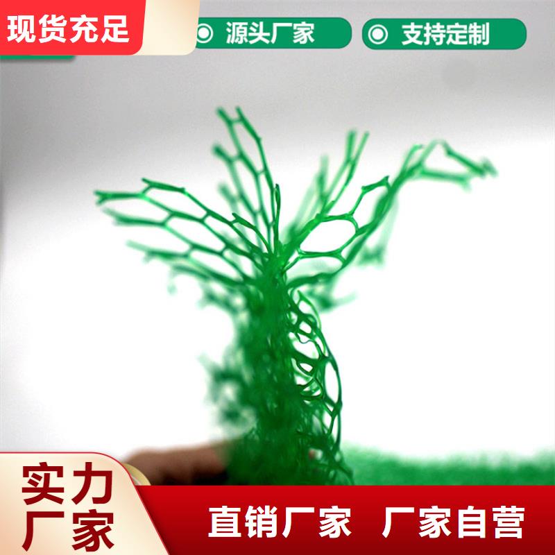 三维固土网垫-绿色三维植被网欢迎咨询品质优良