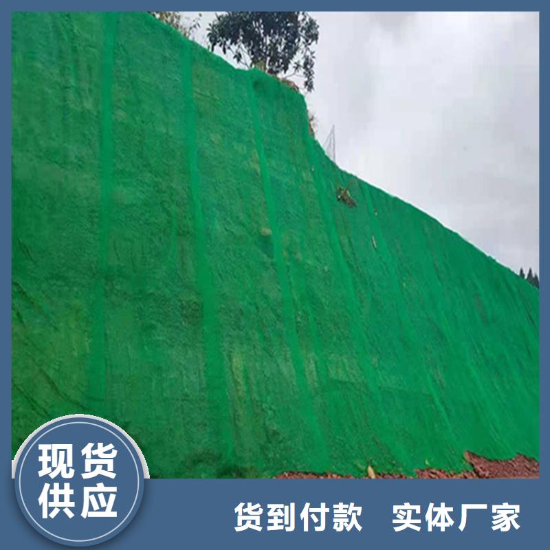 沧州塑料边坡三维护坡植被网垫
