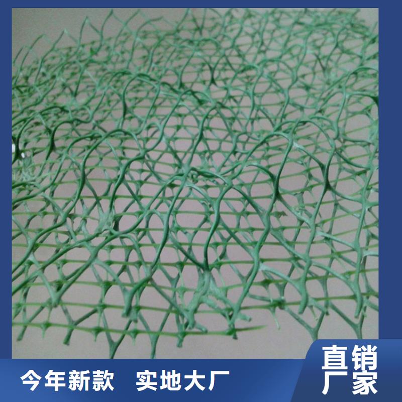 百色三维护坡植被网垫市场