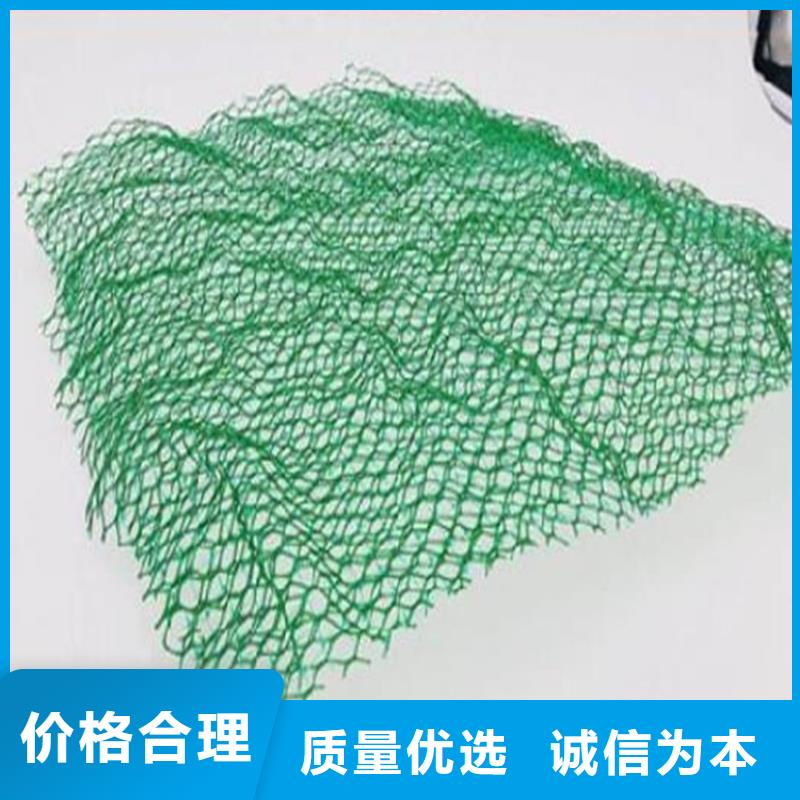 护坡加筋网垫-三维网植草护坡定制当地生产商