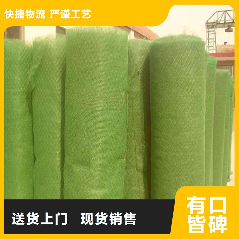 护坡加筋网垫-加筋三维植被网参数性能供应商