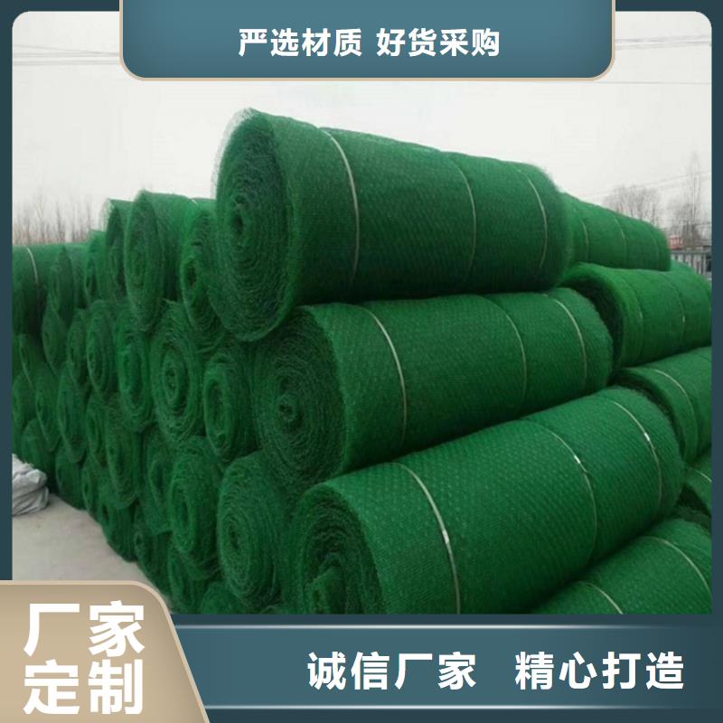 塑料草皮三维土工网垫全新升级品质保障