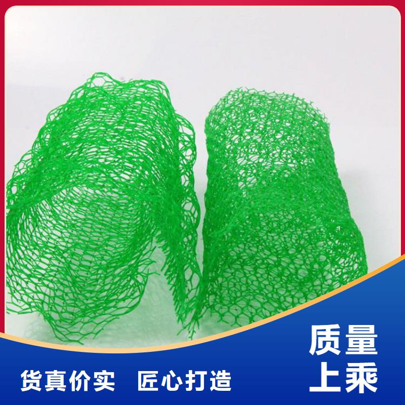 桂林护坡加筋网垫-三维网垫新闻资讯