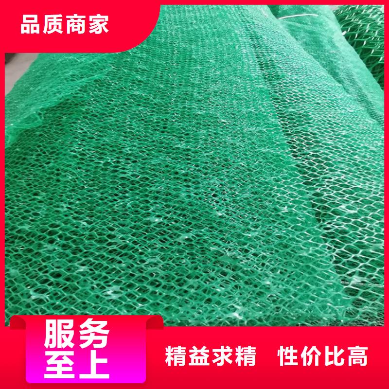 三维土工网垫-绿色三维植被网当地生产厂家