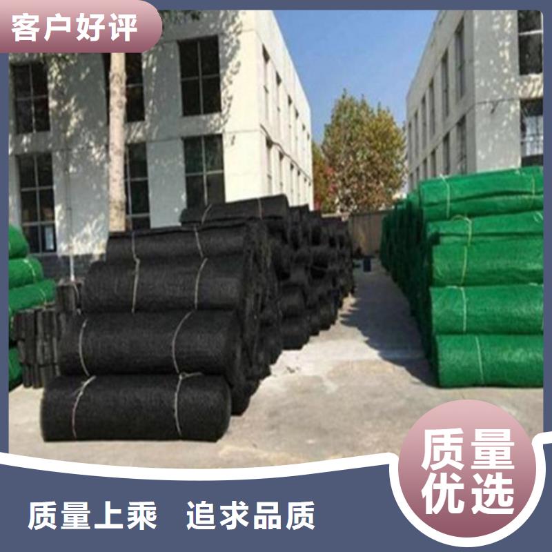 桂林三维护坡植草网垫
