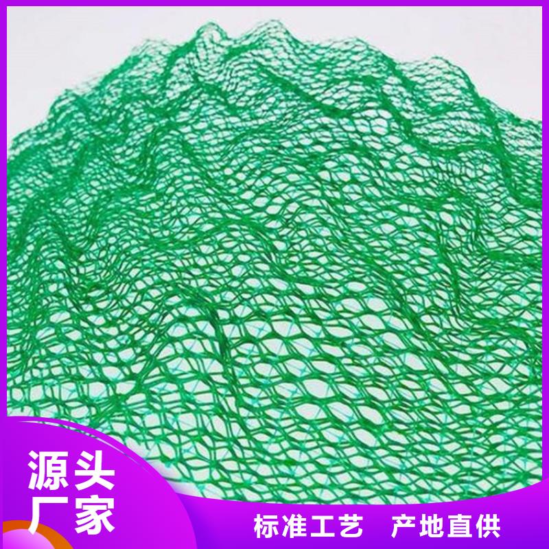 沧州三维植被网-绿色三维土工网垫
