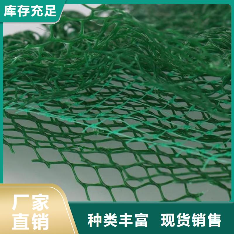 洛阳三维固土网垫-绿色三维植被网
