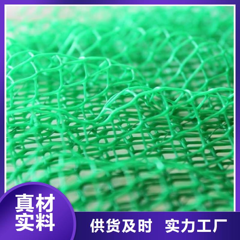 潮州加筋塑料三维加筋土工网垫